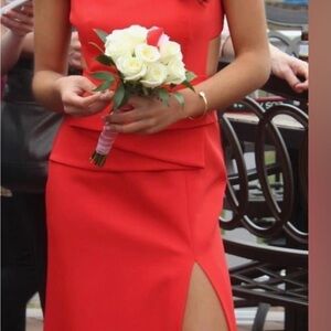 BCBG Vibrant Red Backless Dress